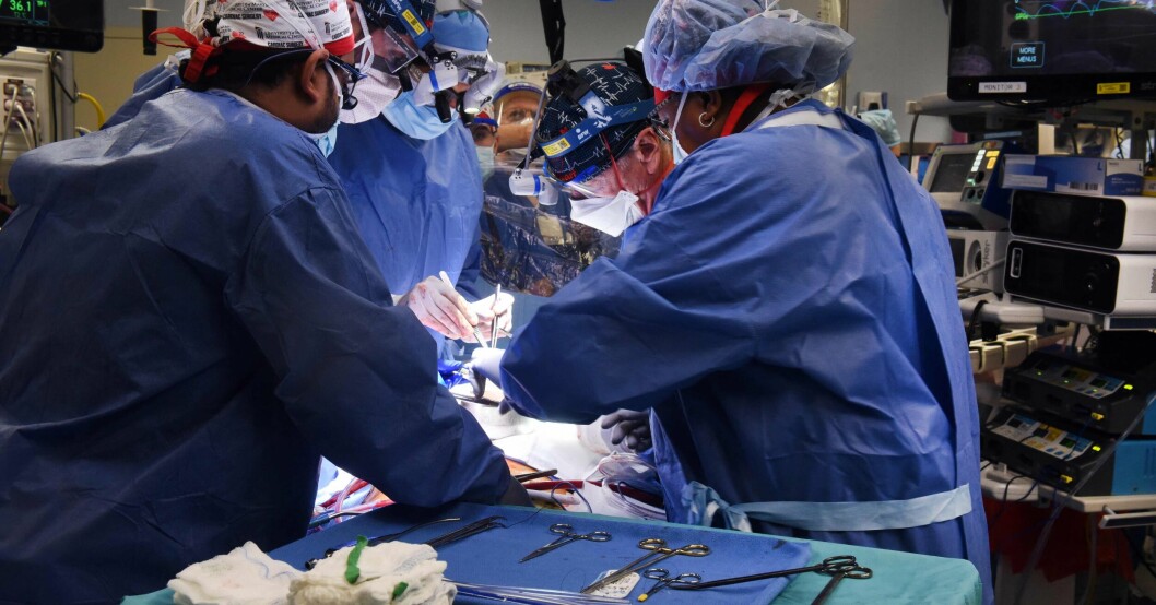 När amerikanska läkemedelsmyndigheten FDA gav läkare på University of Maryland Medical Center grönt ljus var det bara att köra. David Bennetts operation