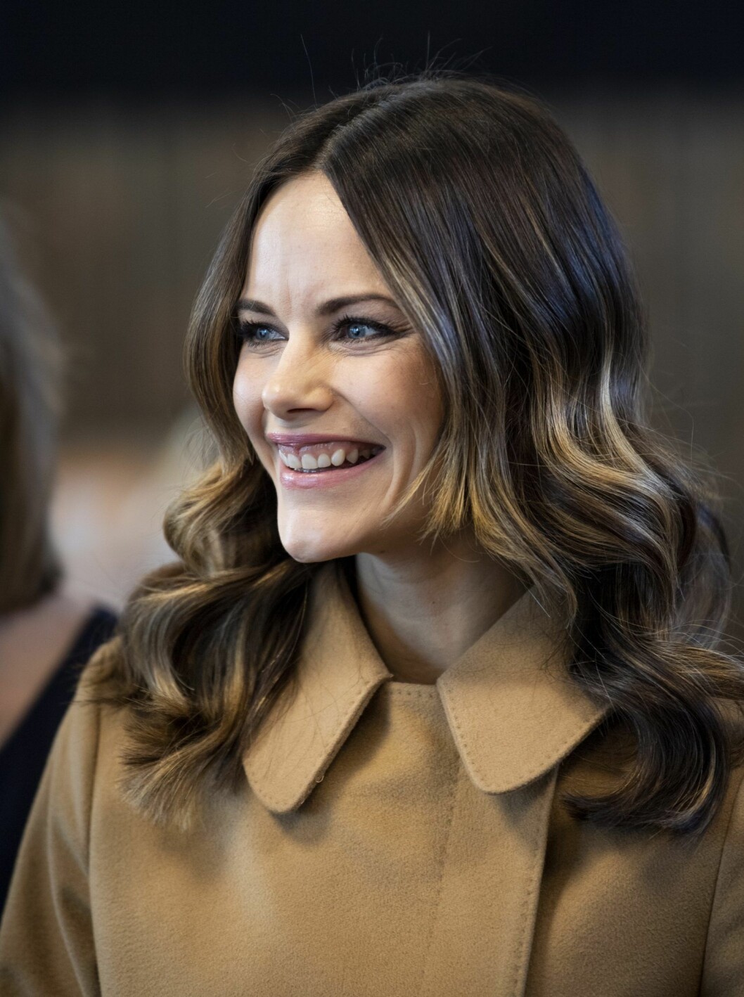 I november 2019 var prinsessan Sofia glad under ett besök på Älvdalsskolan i Älvdalen I november var prinsessan Sofia glad på ett besök på Älvdalsskolan i Älvdalen