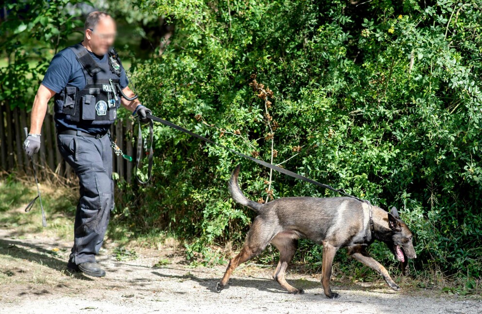 Polis med likhund eftersöker kroppen.