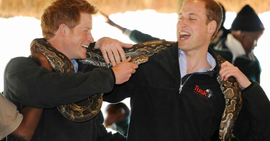Prins Harry och prins William har aldrig varit särskilt goda vänner, enligt Ingrid Seward. Prins Harry och prins William