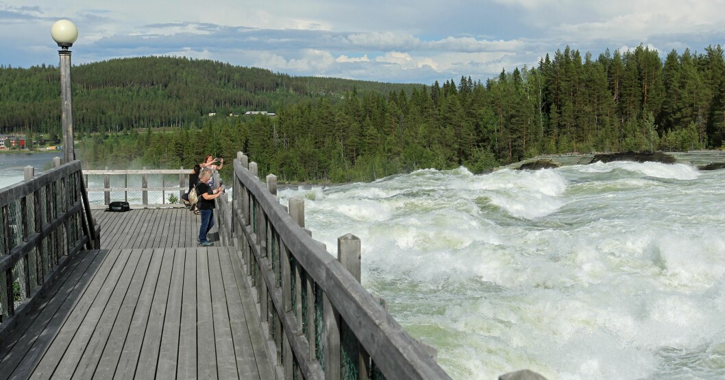 Storforsen på sommaren
