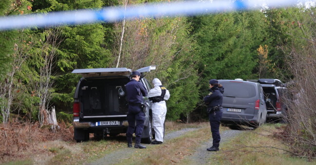 I veckan hittades blodspår från Tove i den häktade 20-åringens bil. Skogspartiet där Tove hittades.