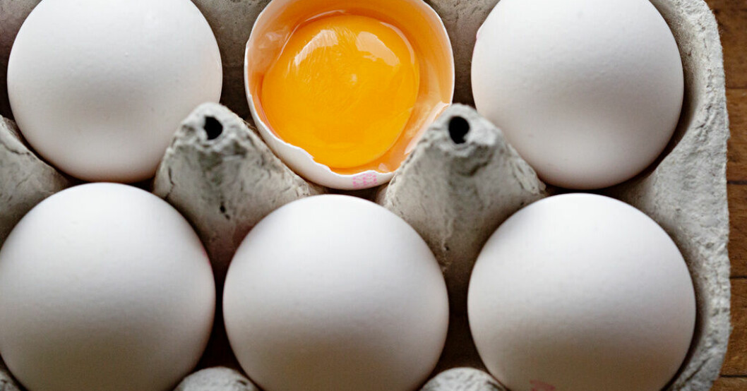 Senast i fredags återkallades ägg från Dava foods, på grund av att de kan innehålla salmonella. Arkivbild. Nya fall av salmonella i pågående utbrott