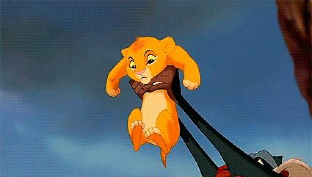 simba