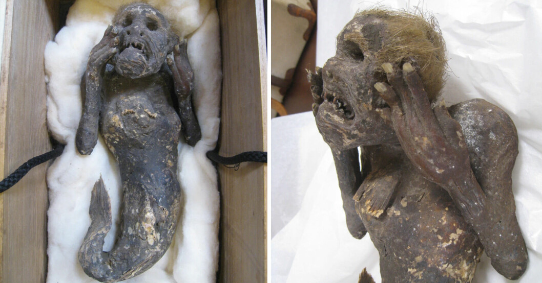 Mysteriet är äntligen löst – efter 300 år.