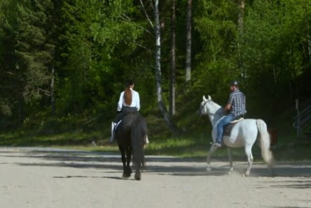 Sigrid och Pål red ut på en dejt. Sigrid och Pål red ut på en dejt.