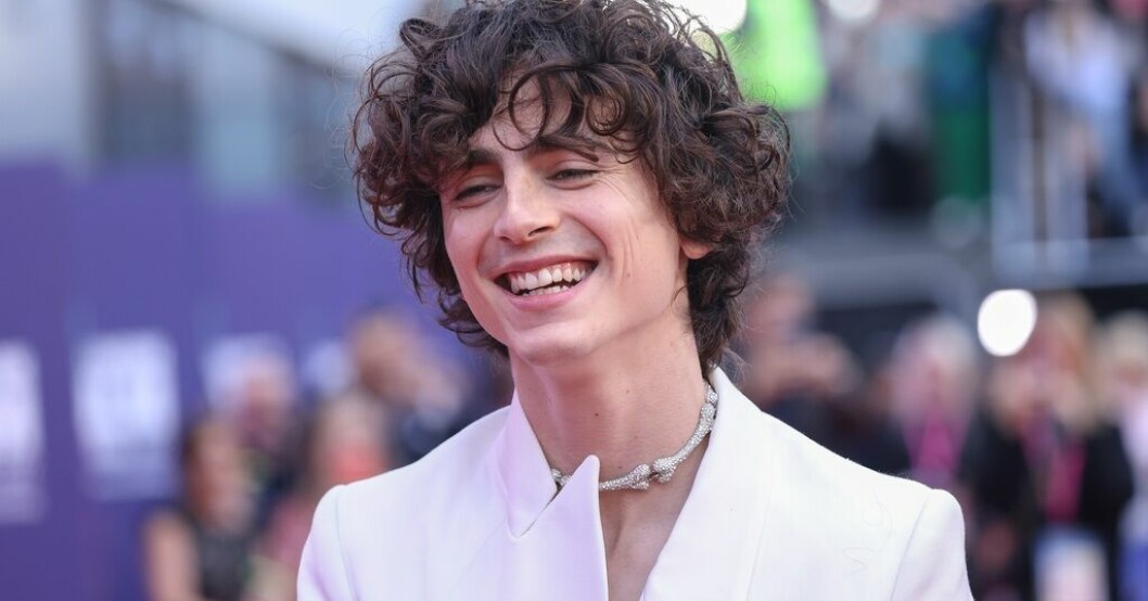 Skådespelaren Timothée Chalamet ska axla uppdraget att sjunga som Bob Dylan i porträttet av artisten. Chalamet sjunger själv i Bob Dylan-biografi