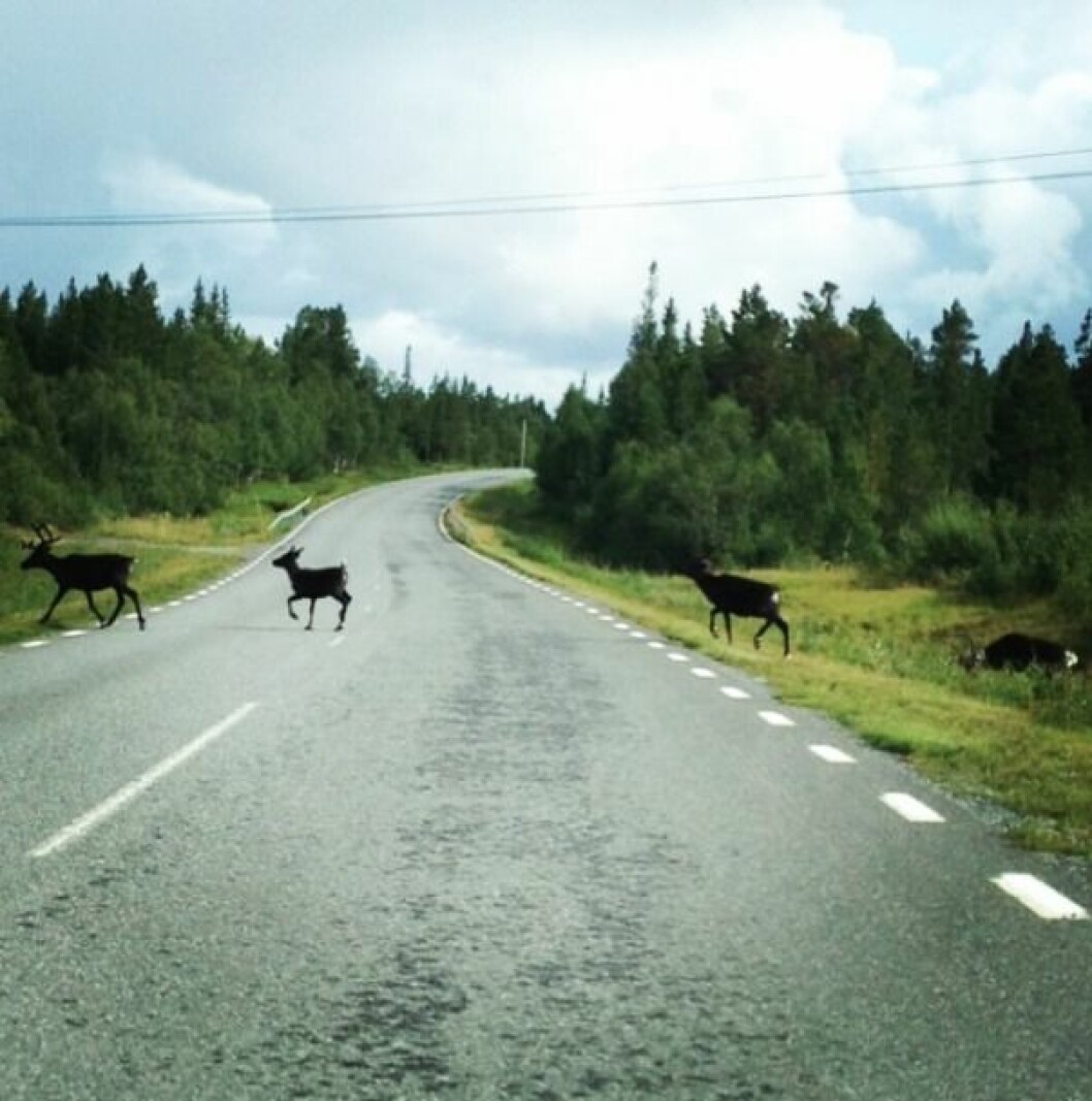 Foto: Angelica Jaako Skärmavbild 2015-04-27 kl. 14.20.51