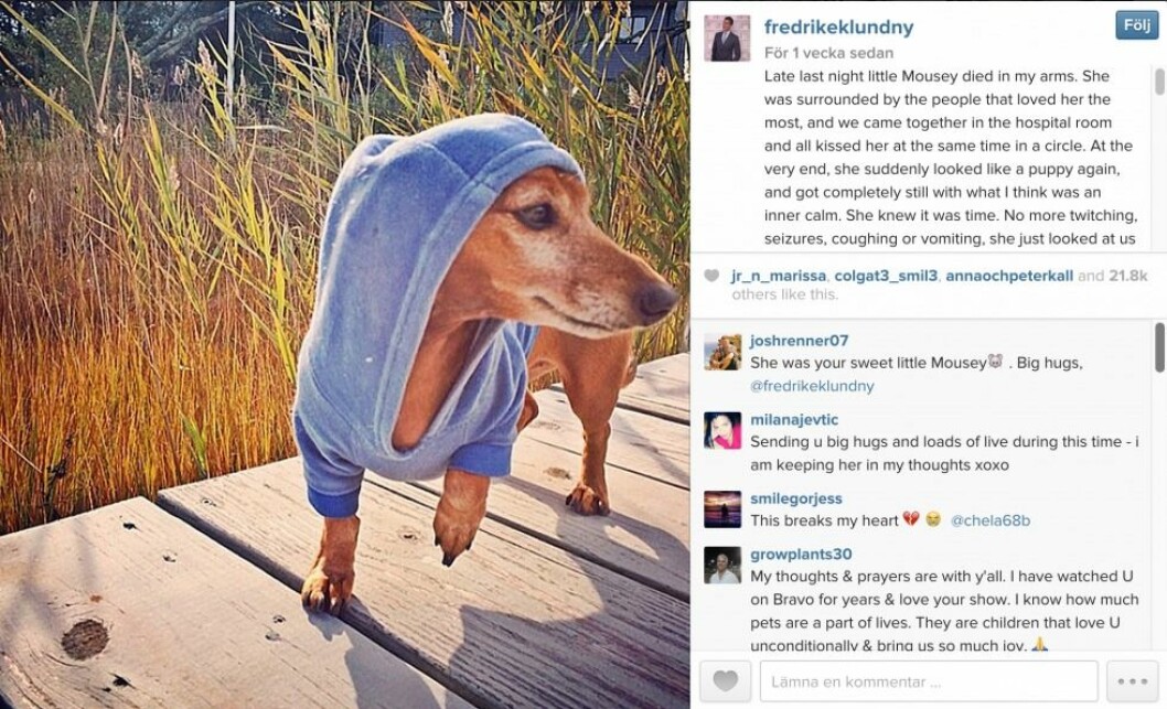 Foto: Fredrik Eklunds <a href="http://instagram.com/fredrikeklundny">Instagram</a> Foto: Fredrik Eklunds Instagram