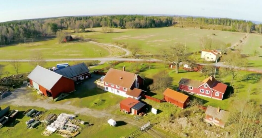På gården på Adelsö bor E-type stort tillsammans med alla sina hundar. skarmavbild-2017-02-08-kl-15-53-32