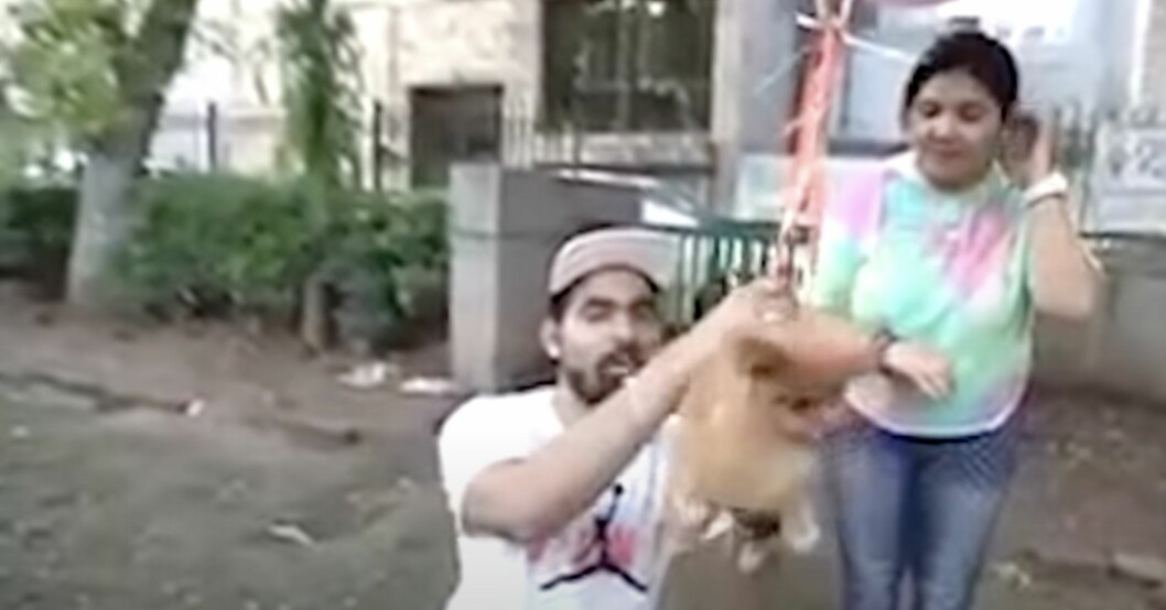 Gaurav knöt fast sin hund i heliumballonger för att spela in ett youtubeklipp. Gaurav och Dollar