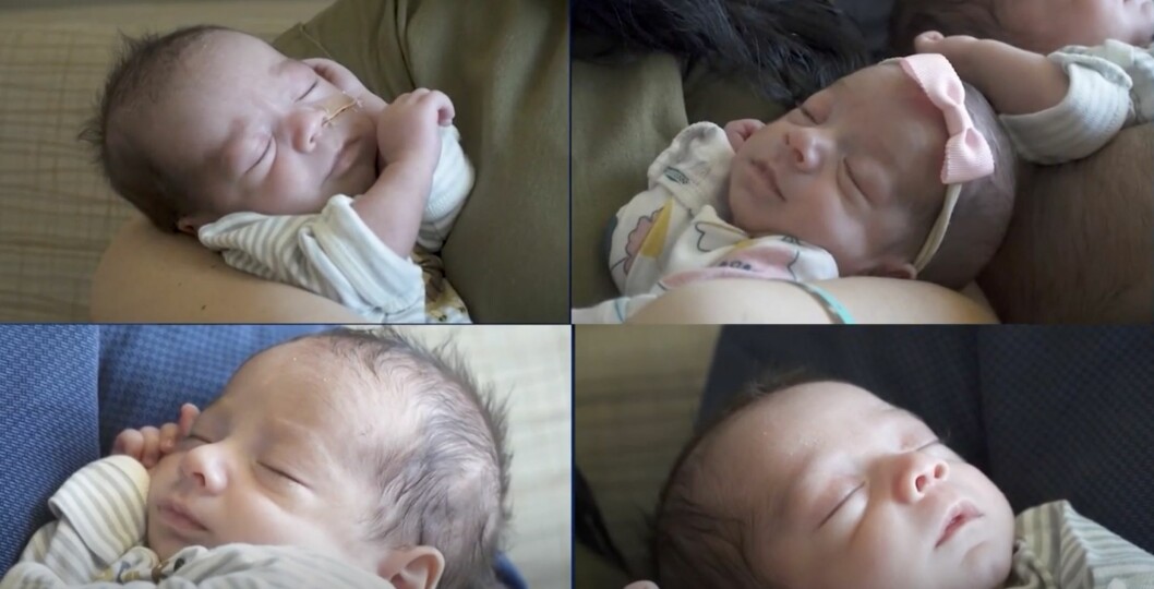 Luca, Barrett, Tychus och Julianna.