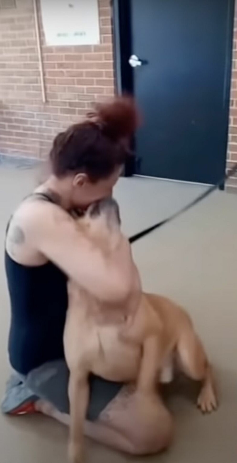 Aisha fick äntligen hålla om sin älskade Kovu igen. Kovu och Aisha