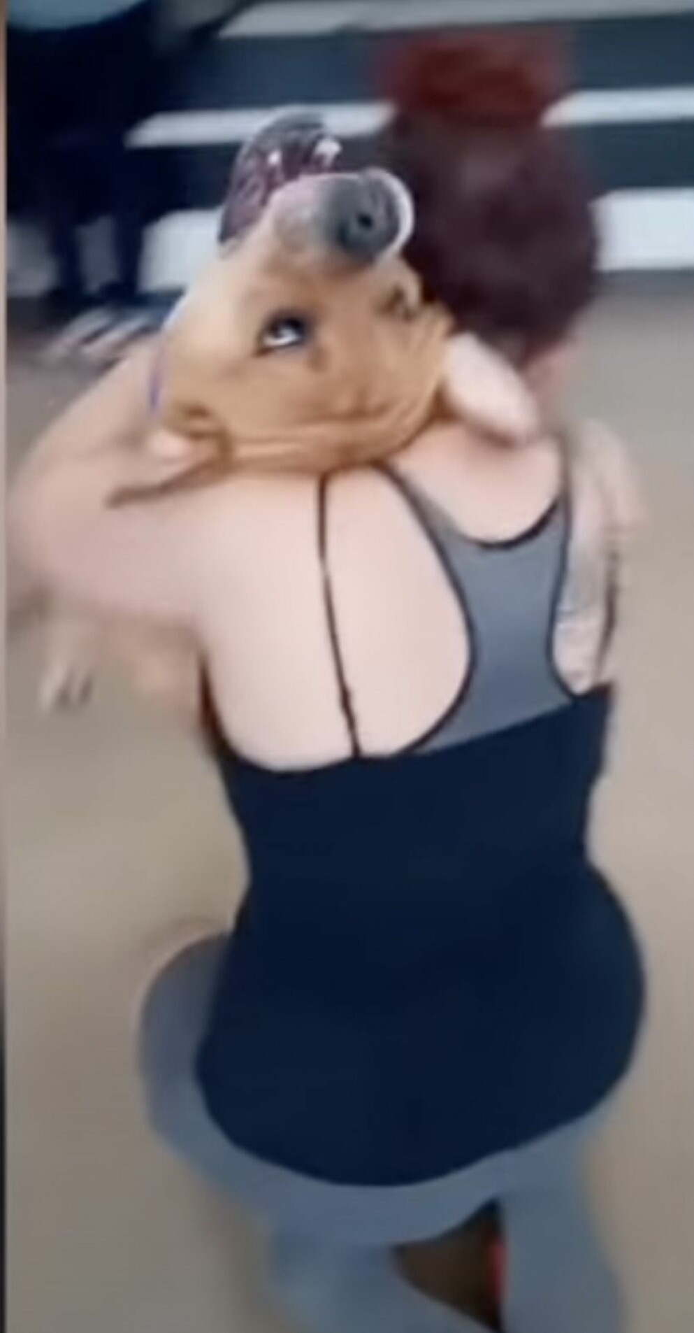 Kovu och Aisha var överlyckliga när de återförenades. Kovu och Aisha