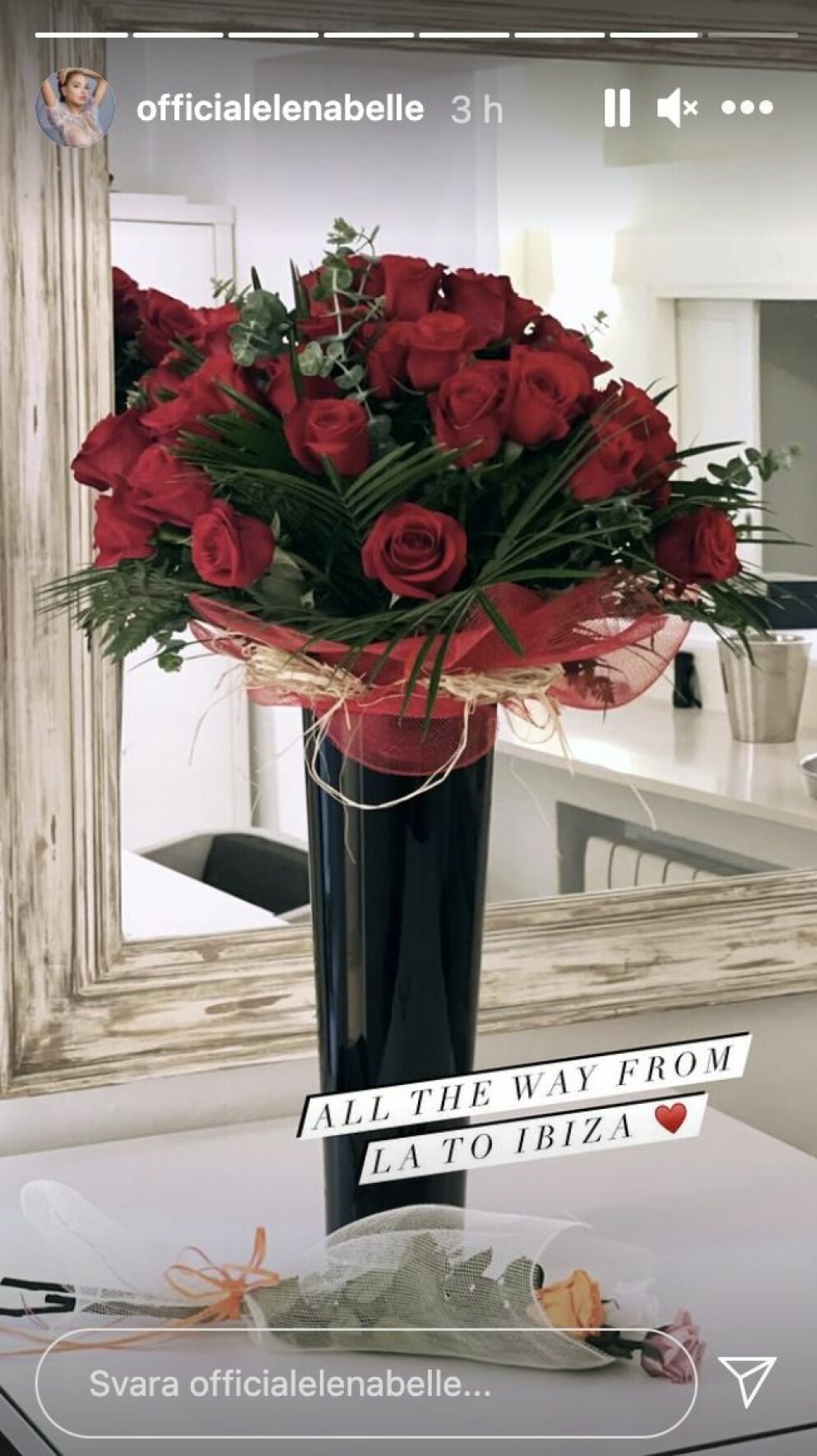 <span class=" italic" data-lab-italic_desktop="italic">Foto: Elena Belle/Instagram</span>