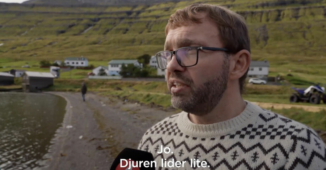 ”Jo, djuren lider lite”, säger Jens Mortan Rasmussen till TV4. Jens Mortan Rasmussen