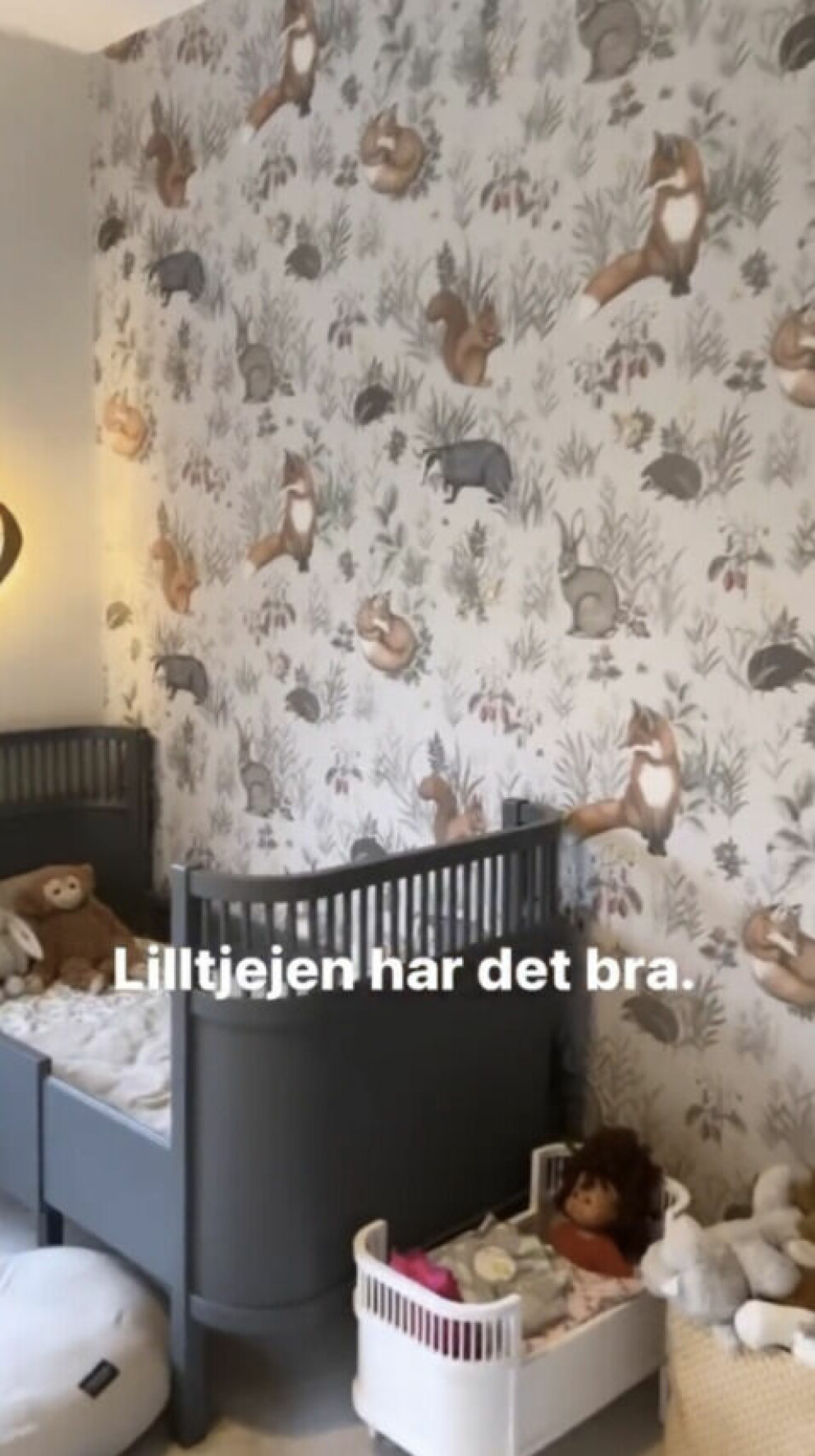 <span class=" bold" data-lab-bold_desktop="bold">FOTO: Skärmdump från Nikki Aminis Instagram story. </span>