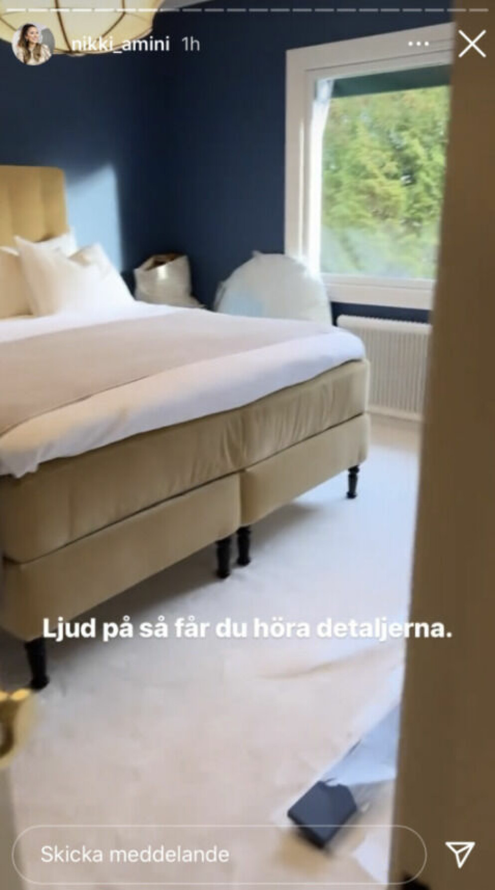 <span class=" bold" data-lab-bold_desktop="bold">FOTO: Skärmdump från Nikki Aminis Instagram story.</span>
