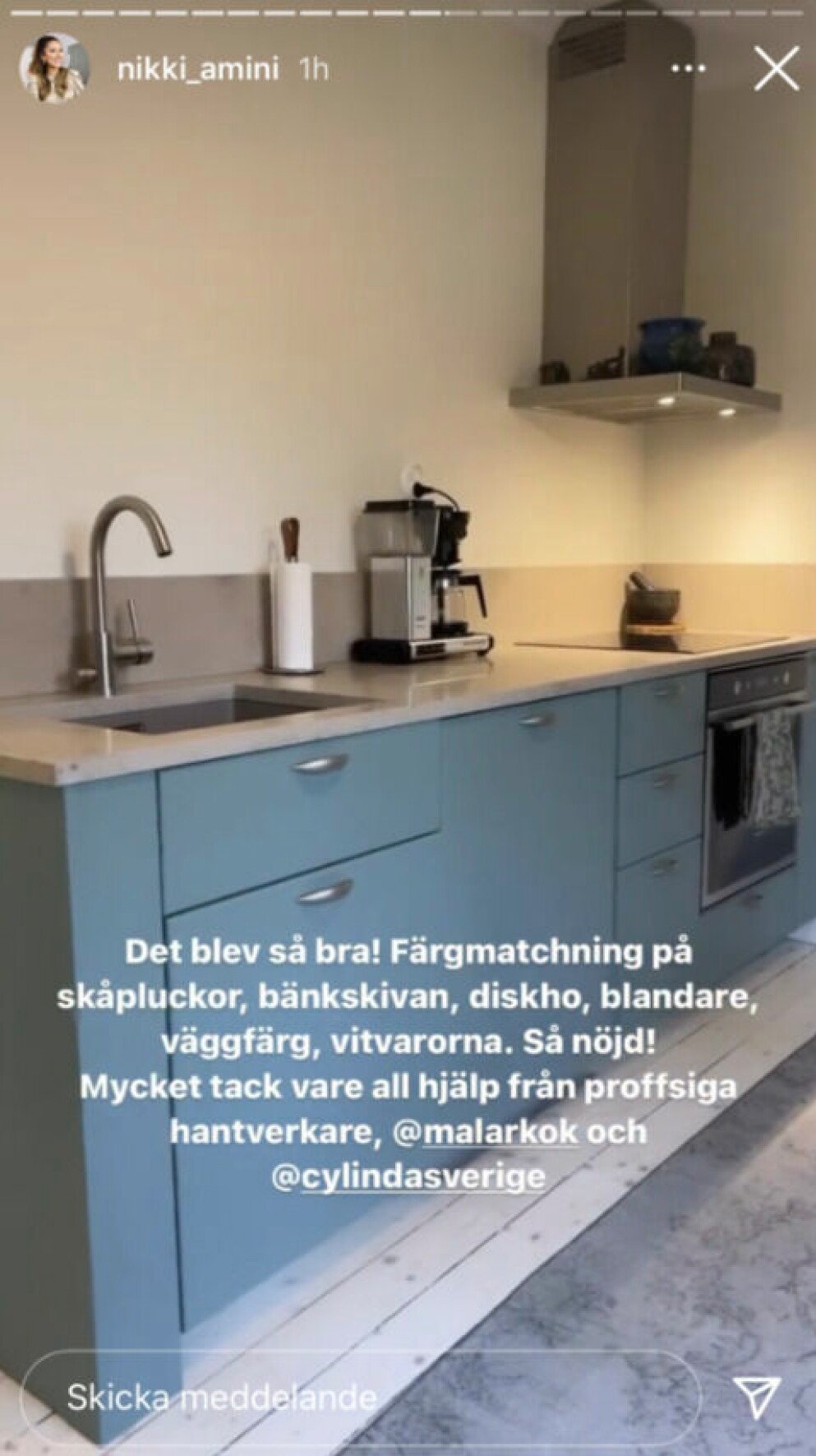 <span class=" bold" data-lab-bold_desktop="bold">FOTO: Skärmdump från Nikki Aminis Instagram story. </span>