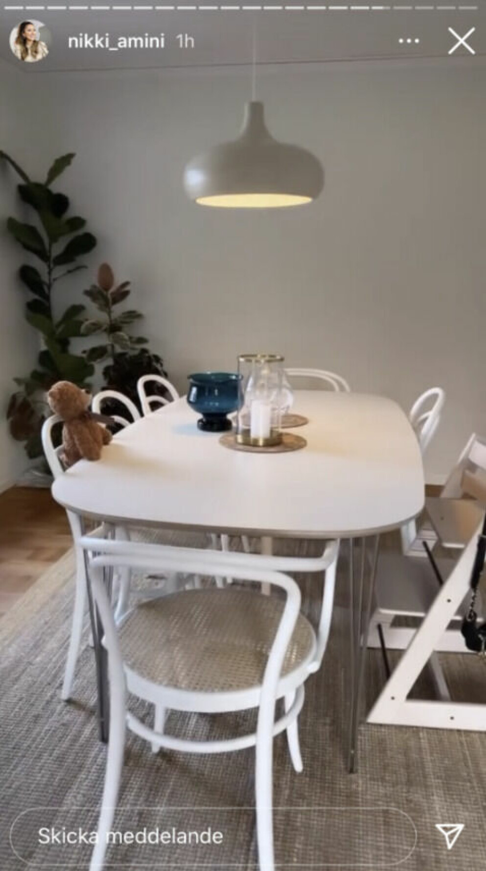 <span class=" bold" data-lab-bold_desktop="bold">FOTO: Skärmdump från Nikki Aminis Instagram story. </span>