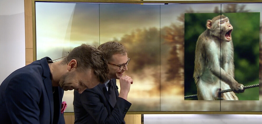 Thomas Ritter och Lasse Rydqvist bryter ihop efter de har tittat på bilden på apan. Thomas Ritter och Lasse Rydqvist bryter ihop.