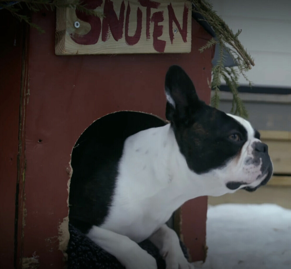 Hunden Snutens hus i julkalendern. Snutens hus i julkalendern