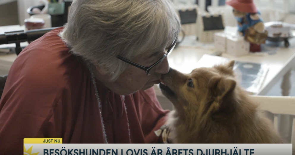 Lovis är alltid välkommen på äldreboendet och alla älskar att tillbringa tid med henne. Lovis på äldreboendet