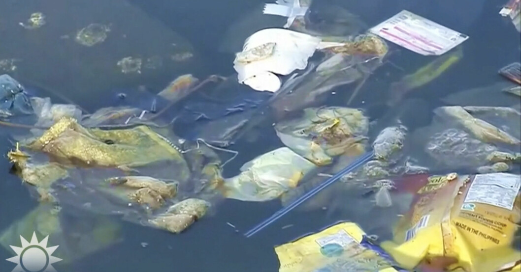 Bild från Nyhetsmorgon, plasten i haven fortsätter att öka kraftigt. Plast i hav