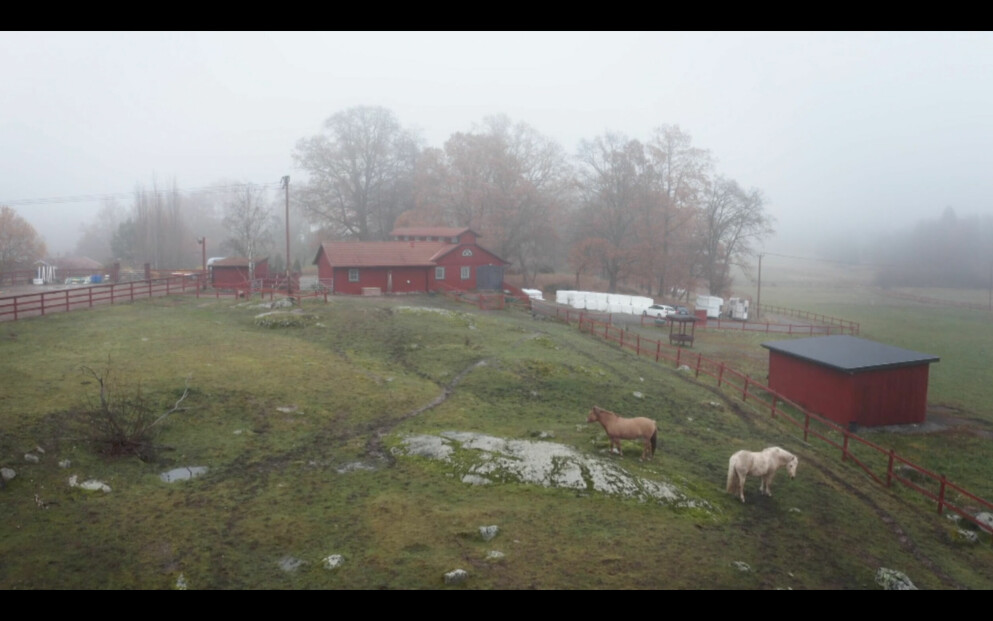 Sanna Lundell har alltid drömt om att bo på en hästgård tillsammans med sina älskade djur.