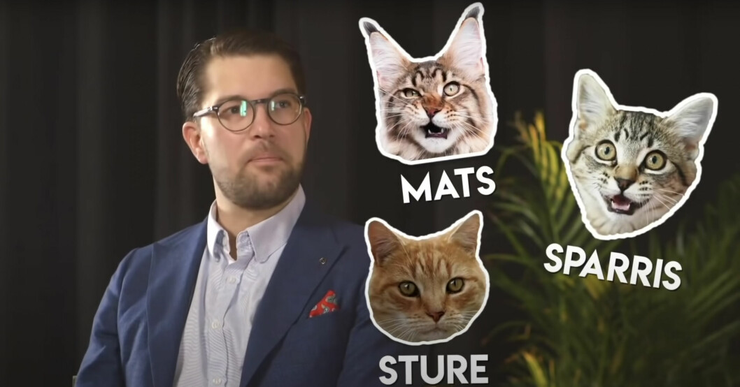 För fyra år sedan berättade Jimmie Åkesson om sina katter i youtubeprogrammet ”Partitempen”. Jimmie Åkesson