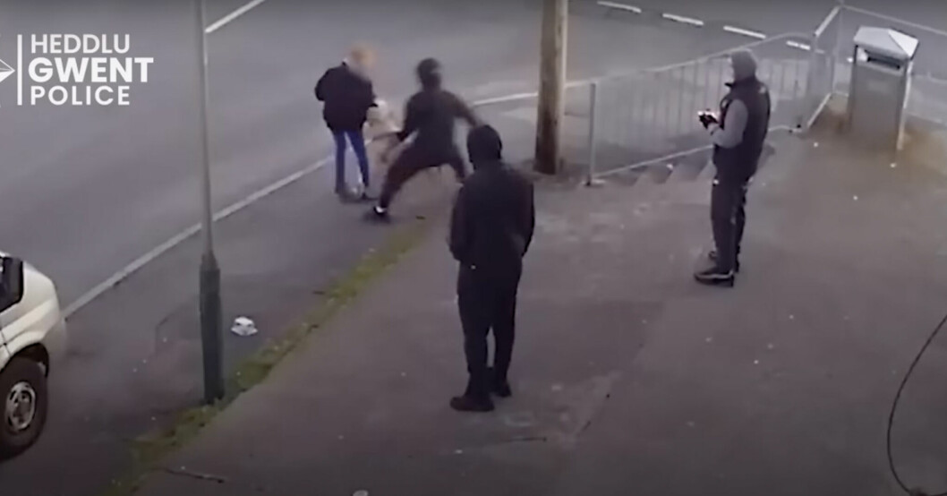 Hunden Beast attackerar en flicka när hon åker förbi med sparkcykel. Hunden Beast
