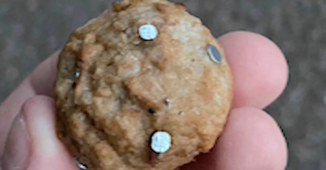 Köttbullar med spikar i har hittats i Malmö.