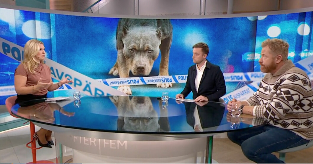 Efter fem-studion med Steen.