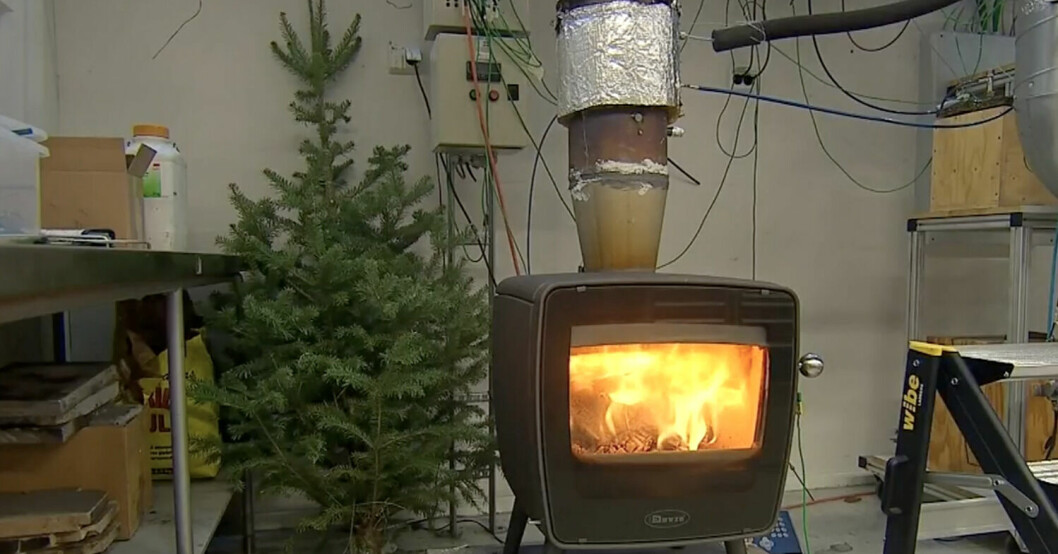 Granens grenar fyllda med barr fattar väldigt snabbt eld och det ”exploderar” inifrån kaminen.