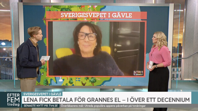 Lena var med i TV4:s Efter fem