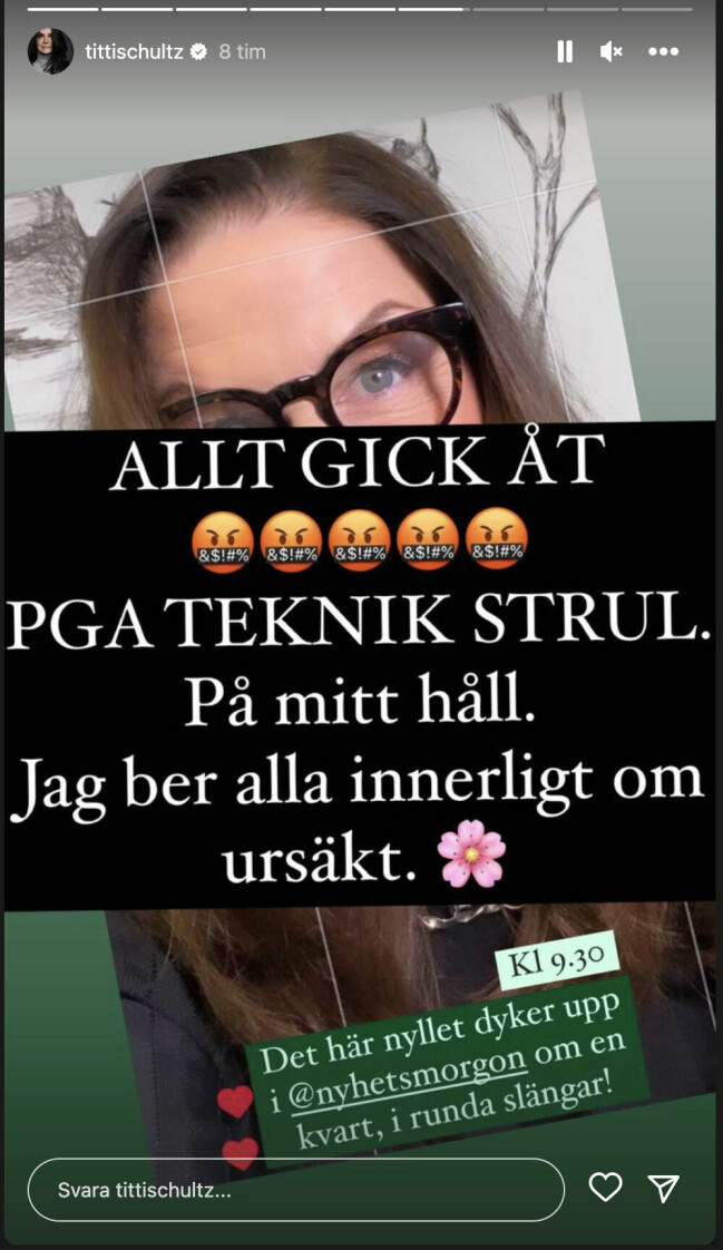 <em>FOTO: Skärmdump från Titti Schultz Instagram story</em>