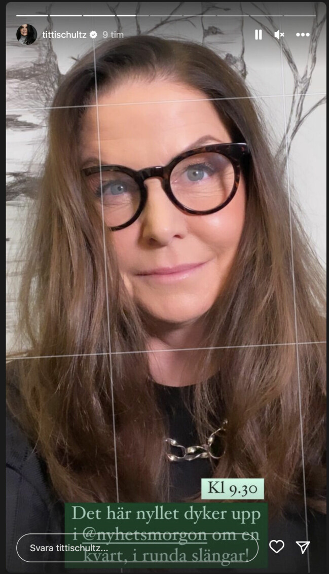 <em>Skärmdump från Titti Schultz Instagram-story</em> Titti Schulz Instagram-story
