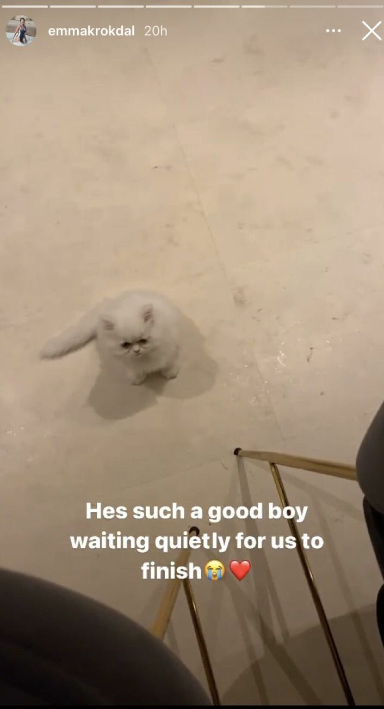 Skärmdump från Krokdals Instagram.