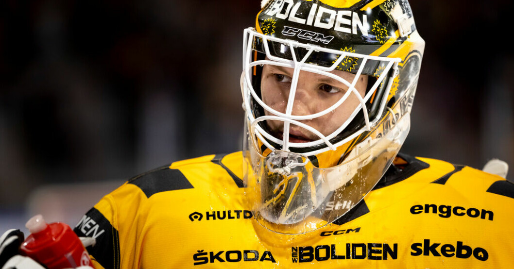 Skellefteås Linus Söderström får Honken Trophy som SHL:s bäste målvakt den här säsongen. "Honkens" val: Han är säsongens målvakt