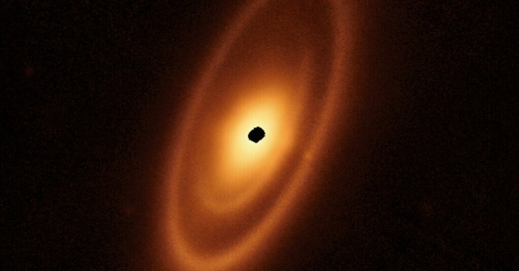 Skivan runt stjärnan Fomalhaut, cirka 25 ljusår från solen, består av tre asteroidringar med mellanrum som kan rymma planeter. Bilden är skapad med data från James Webb-teleskopet. Fläcken i mitten innebär avsaknad av data. Överraskande fynd i avlägset asteroidbälte