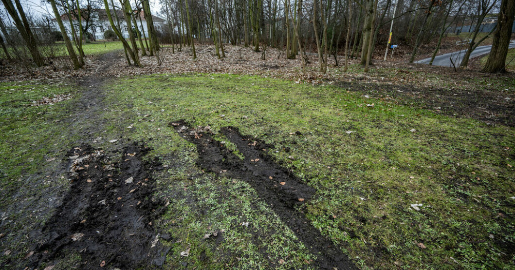 Skogspartiet utmed Frölichs väg med Drömmarnas hus i bakgrunden på Rosengård i Malmö ska ha varit brottsplatsen. Arkivbild. Minderåriga pojkar misstänkta i våldtäktsfall