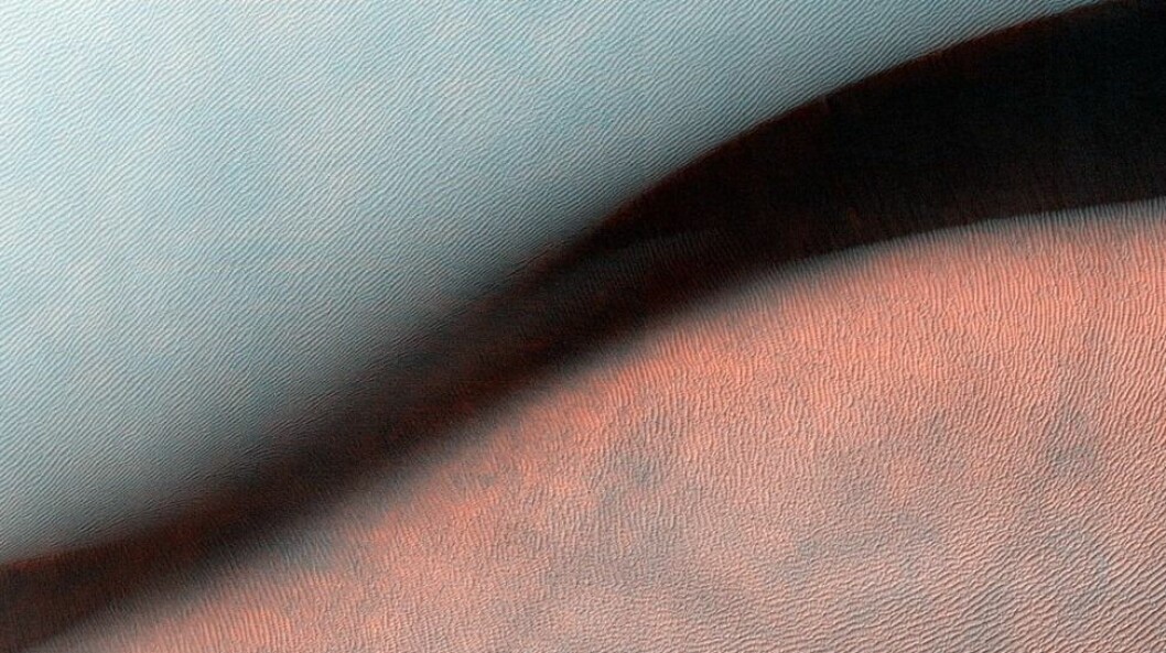 Skvbild 2014-12-29 kl. 13.02.55
