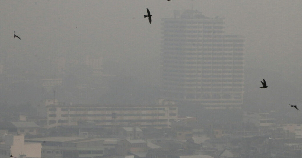 Miljontals mår dåligt av luften i Thailand