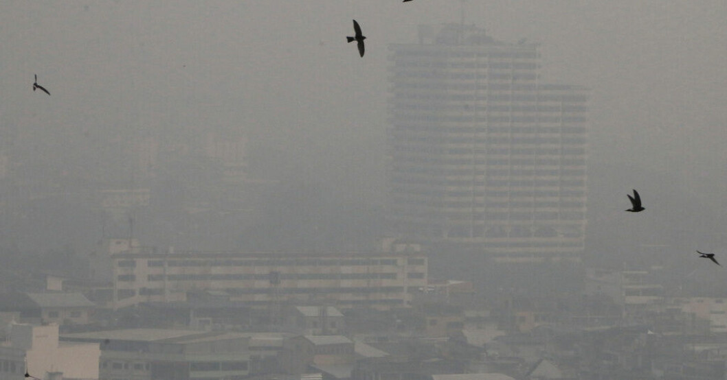 Smog i Chiang Mai den 13 april i år. Arkivbild. Miljontals mår dåligt av luften i Thailand