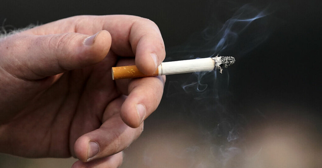Portugal vill förbjuda rökning vid skolor