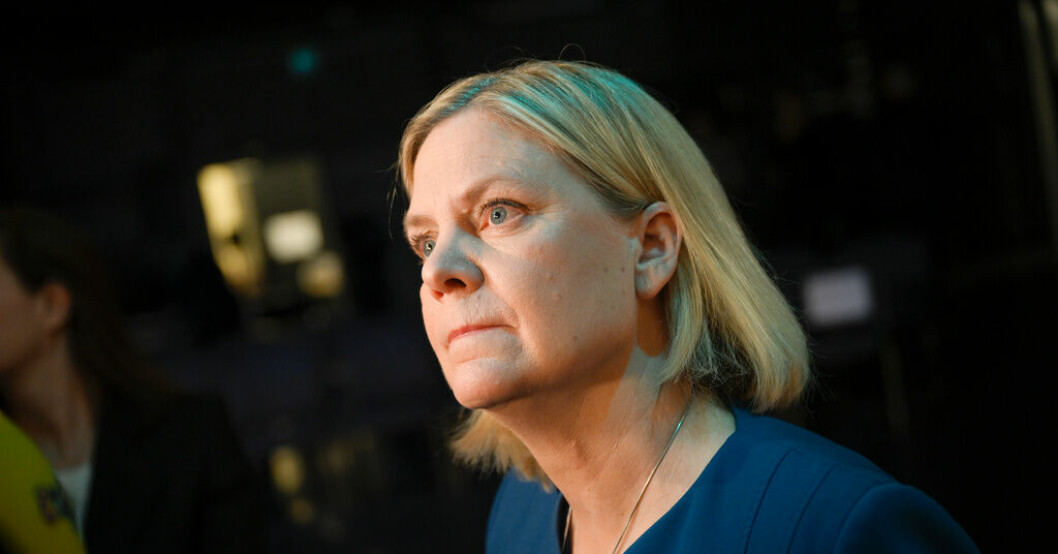 Statsvetare om debatten: "En sorglig syn"