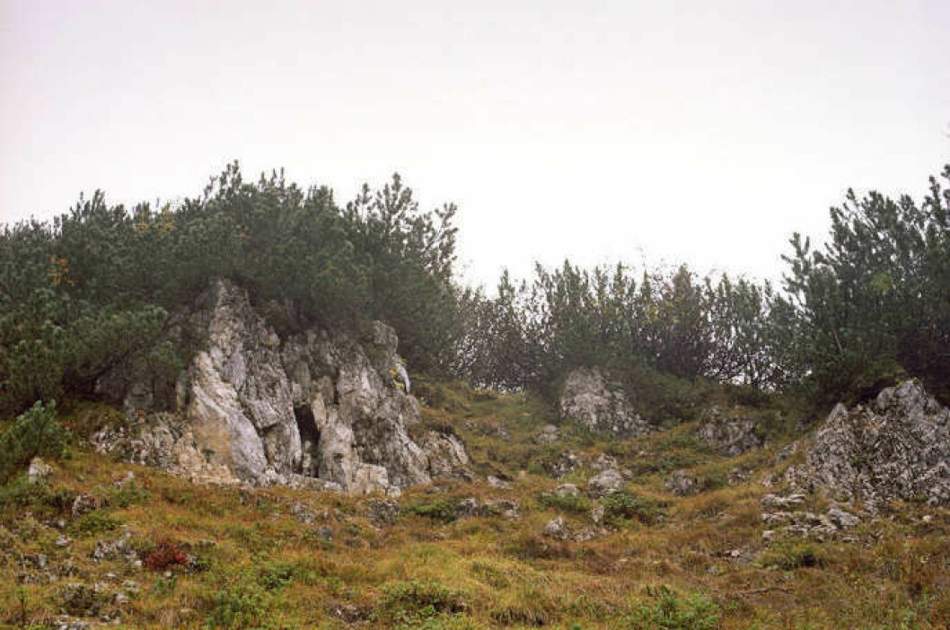 Foto: Simon Menner soldat2