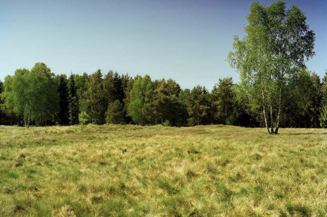 Foto: Simon Menner soldat5