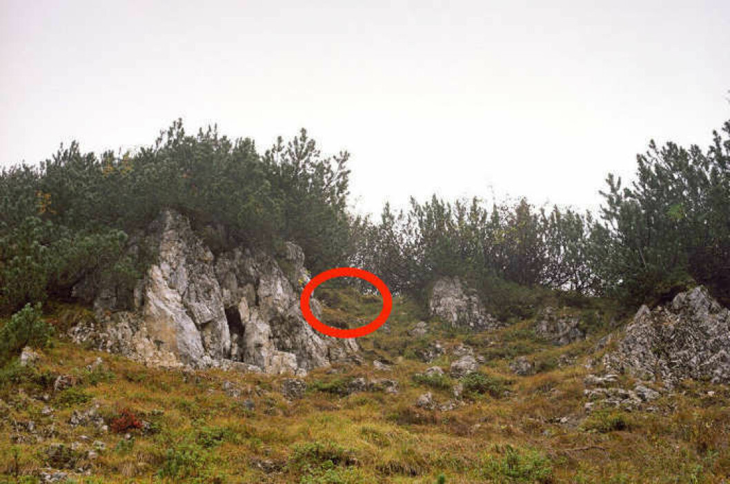 Foto: Simon Menner soldat2facit