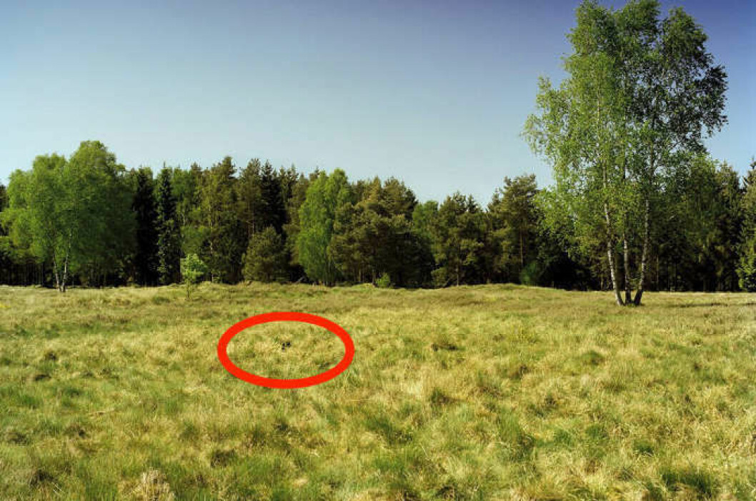 Foto: Simon Menner soldat5facit